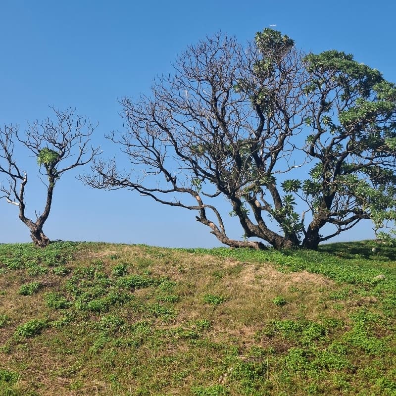 爬山散步