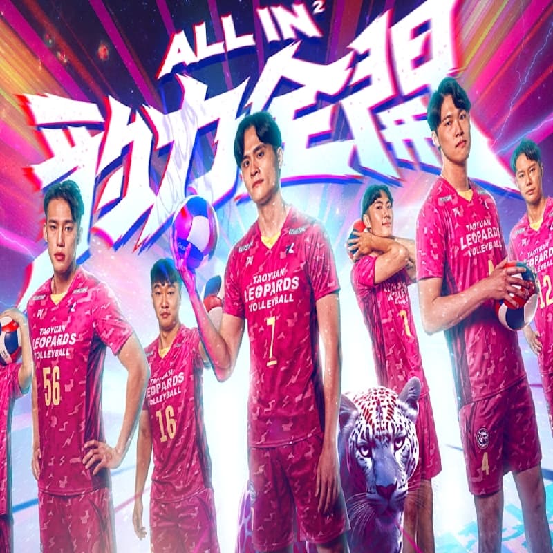 TPVL職業排球 桃園雲豹主場vs新竹可利 11/15