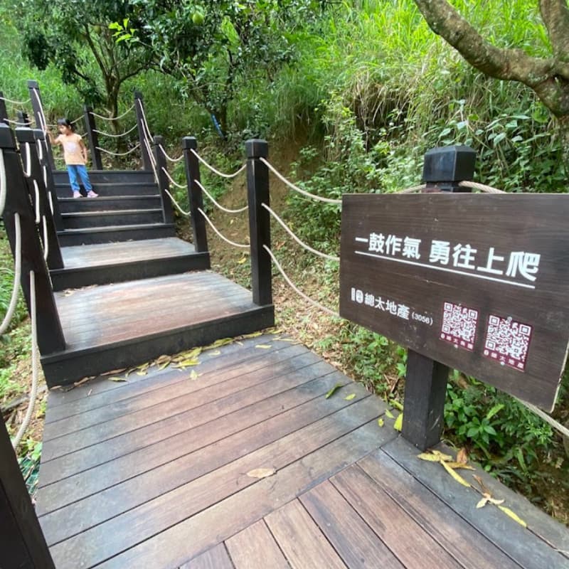 早安爬山嘍⛰️大坑9號