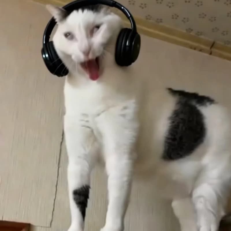 8月生日歌喉戰