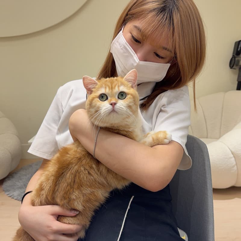 毛孔深層大掃除→ 體驗價$799