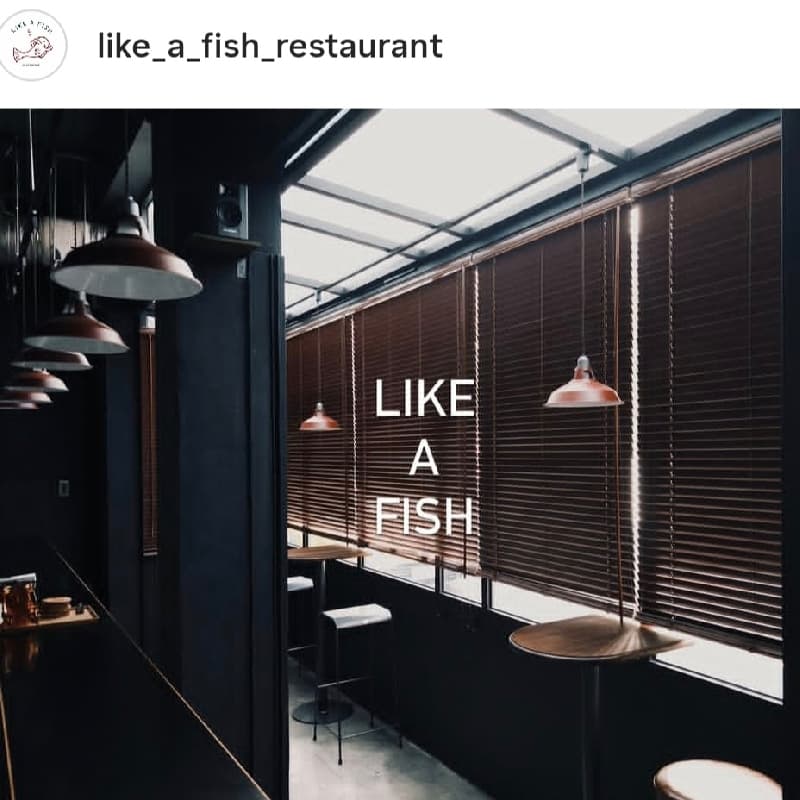 Like a fish