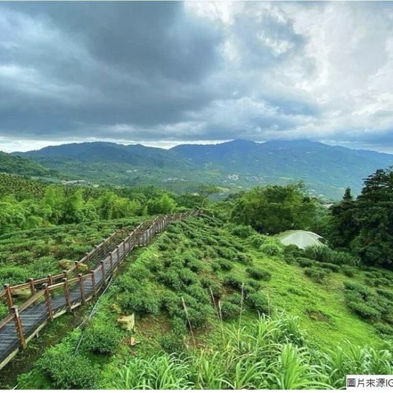 🌿 【臨時揪團|太興岩步道・山嵐秘境散步】⛰️