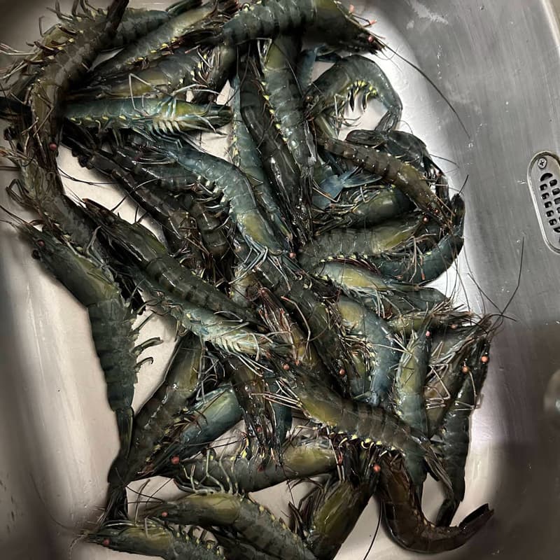 宜蘭釣蝦趣😆