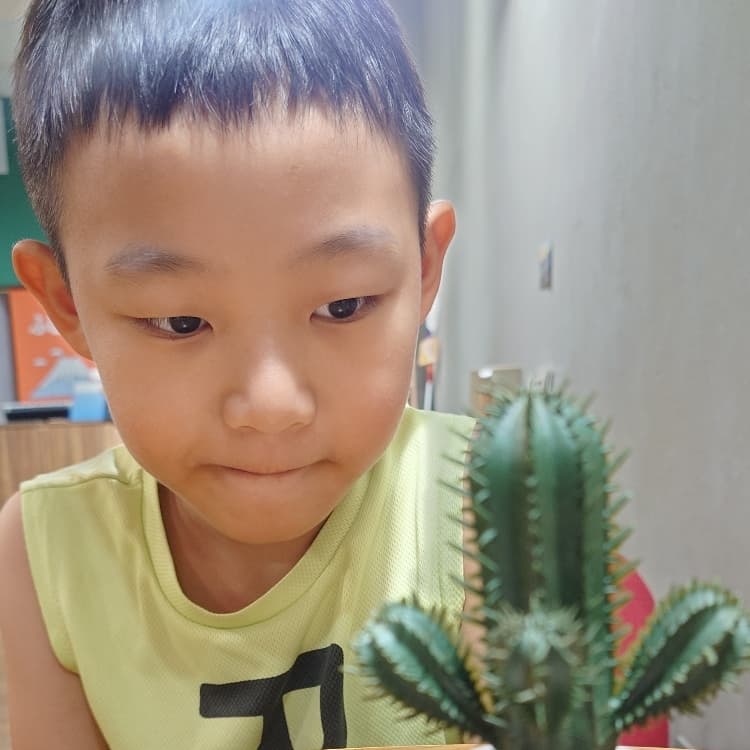 吃日式漢堡排