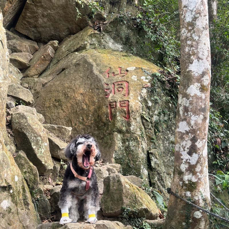 霞海城隍廟&龍山寺拜拜