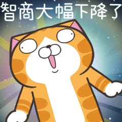 #中秋節 白爛貓☆超級呆☆