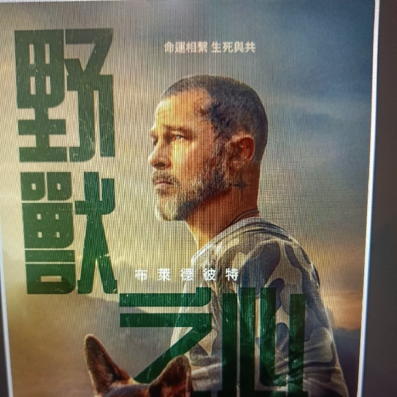 請客局 電影 野獸之心