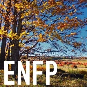 想見見快樂又可愛的ENFP~~