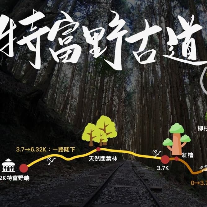 賞秋森