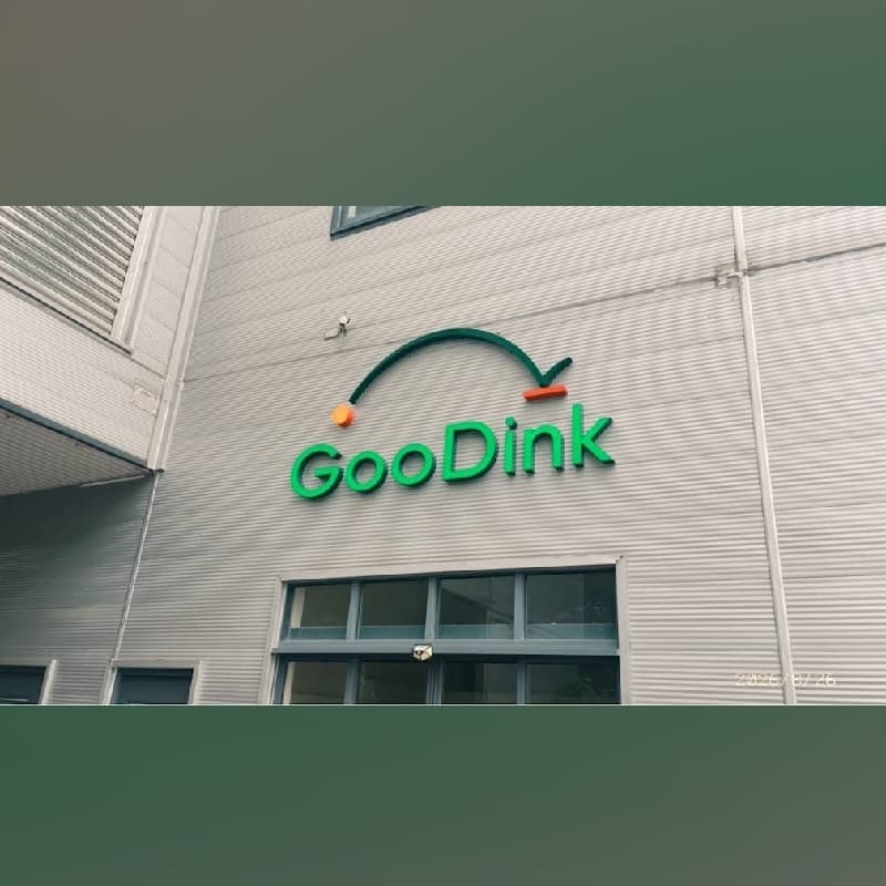 匹克球新手友善