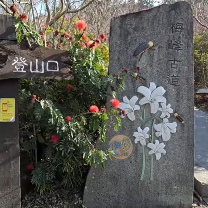 梅峰古道, 獵鷹尖一線天步道