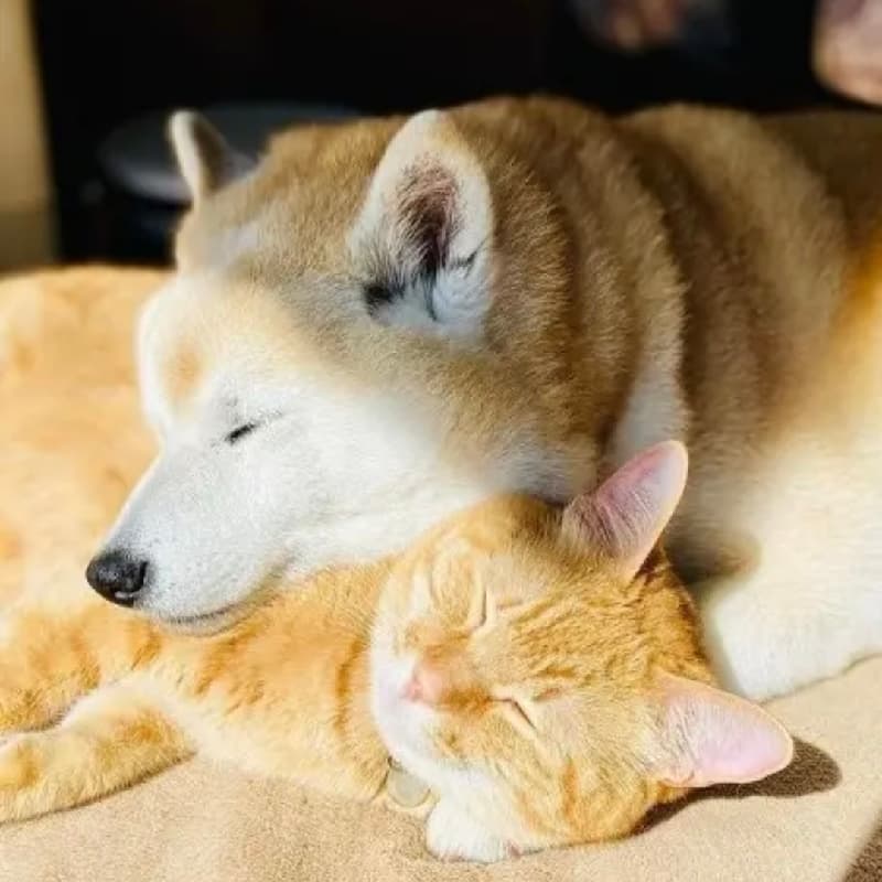 Chill給忙碌的自己偷個閒🤩~