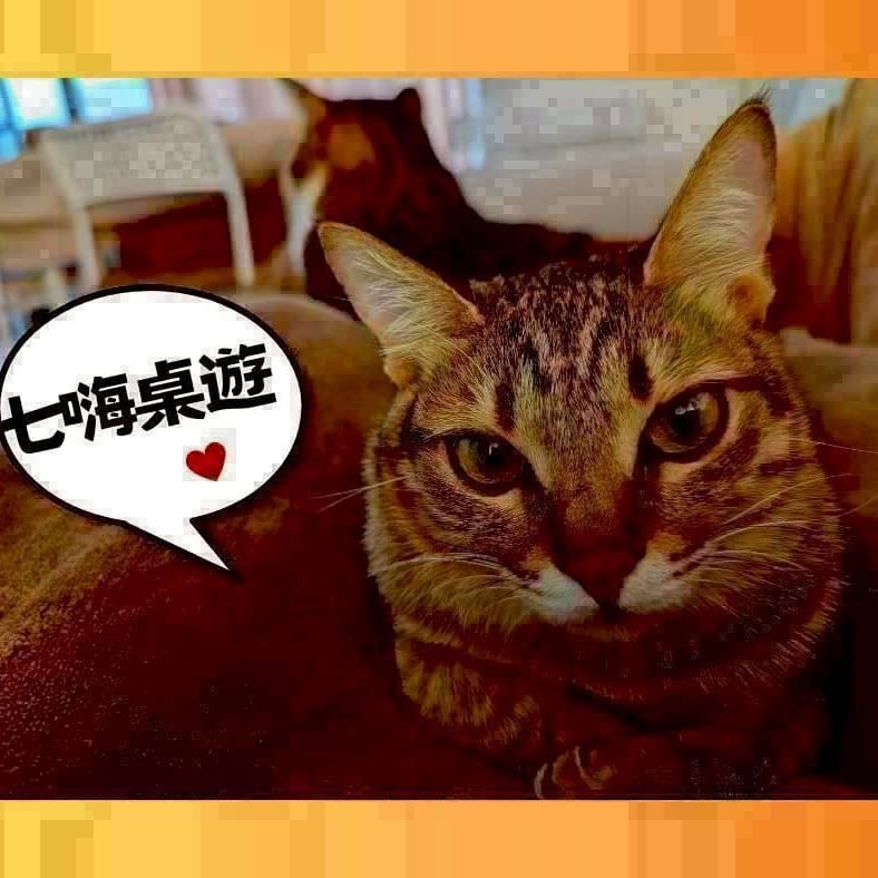 七嗨桌遊團 #新手友善