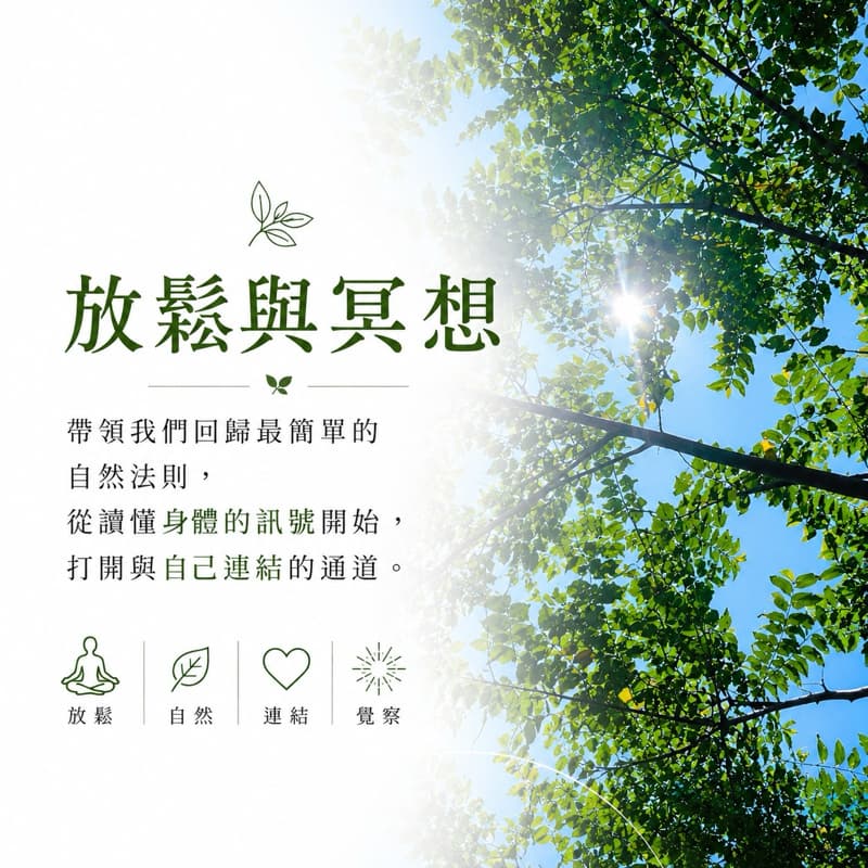 放鬆與冥想|初學友善