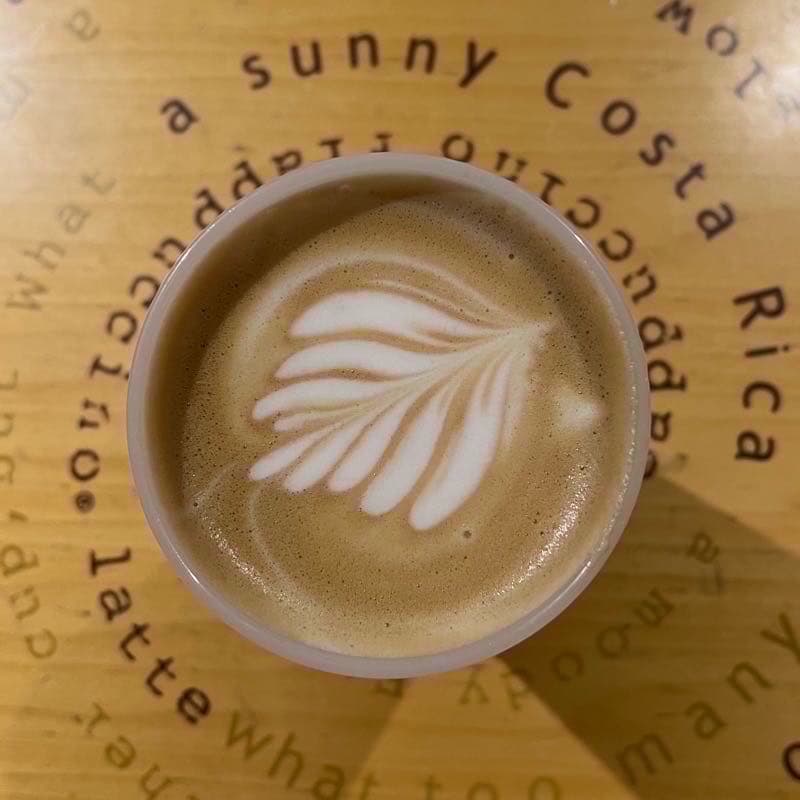 一起去星巴克喝咖啡聊天吧☕️! #新手友善 #中秋節