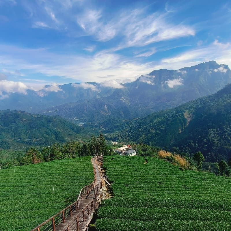 #新手友善#火炎山之旅