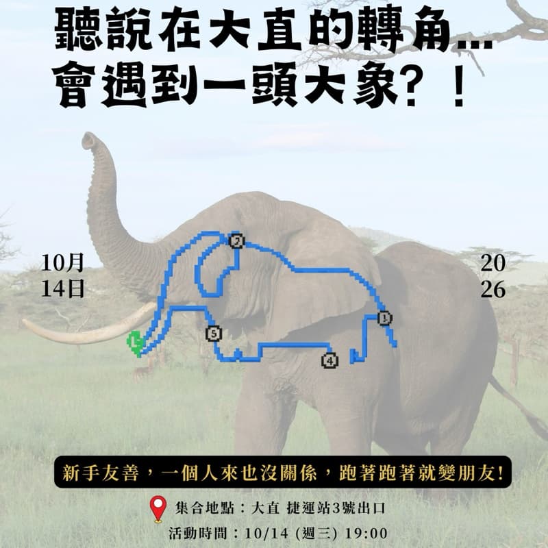 10/14 大直路跑,這次要跑出一頭大象