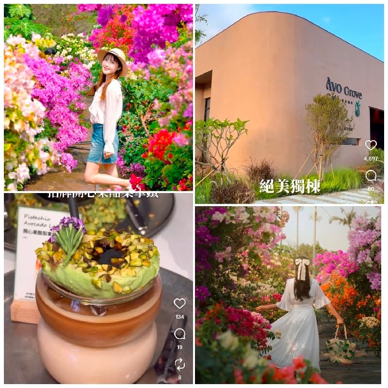 桃園~擁抱落日花海💐與揮桿🏌️聚餐的愜意時光🍽️