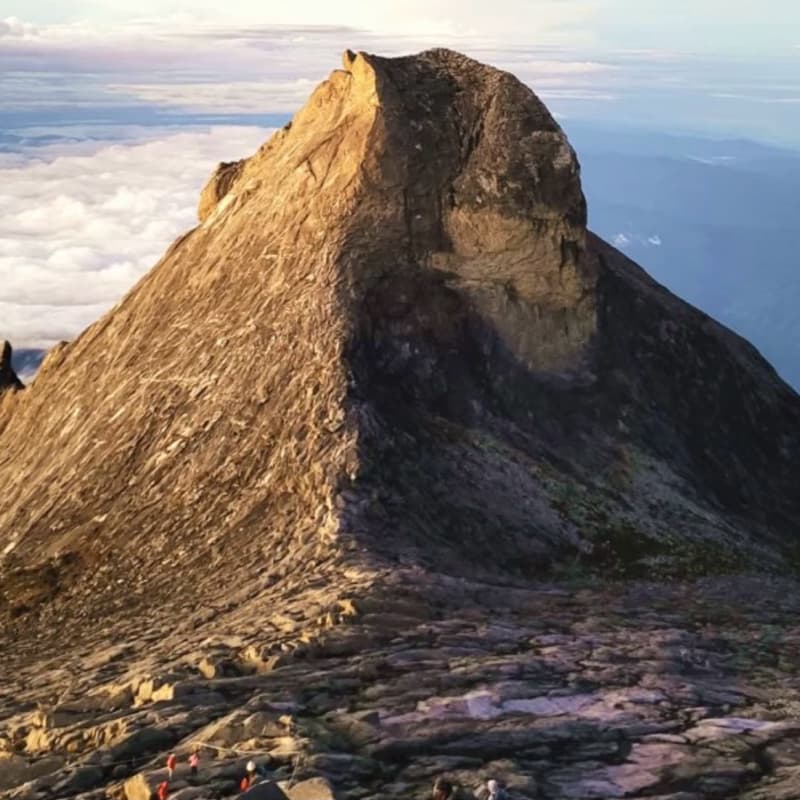 神山登山揪神隊友
