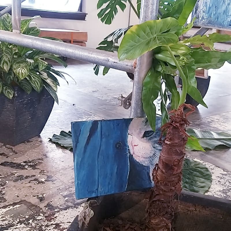 今天讓我當你的影子,跟著你過你的人生。