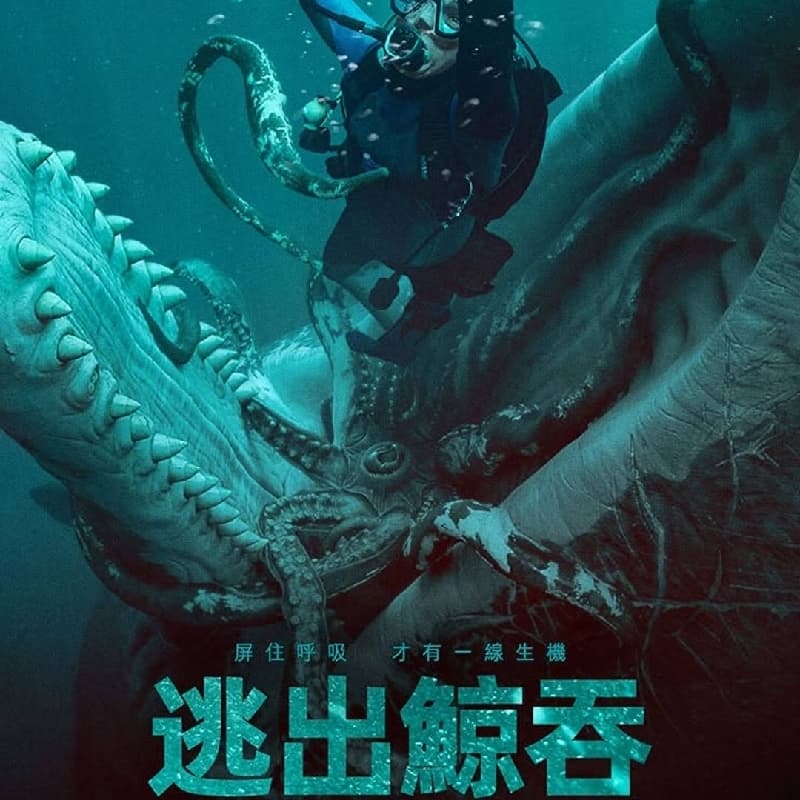 颱風天不能觀浪,去電影院觀浪