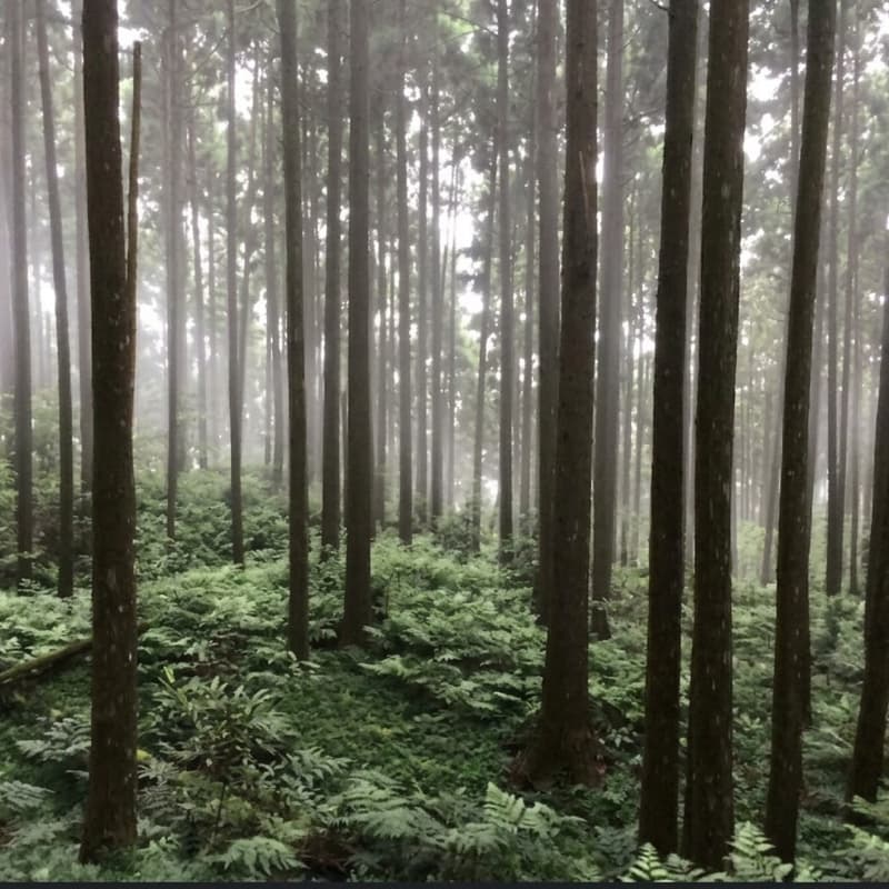 秋高氣爽~油羅山健行趣
