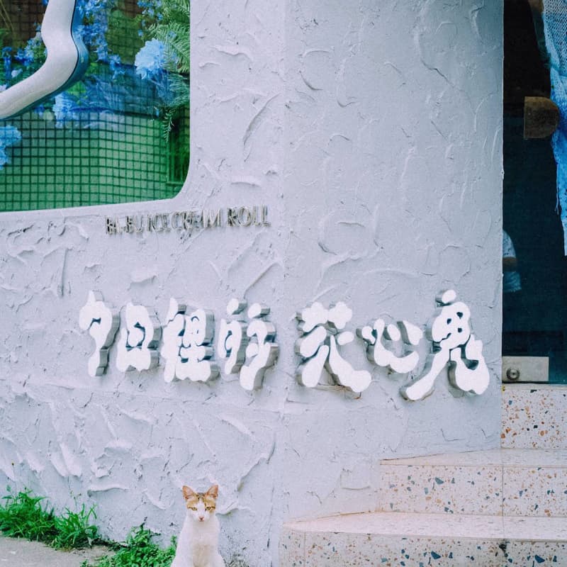 女生小聚吃冰淇淋捲。限定女生