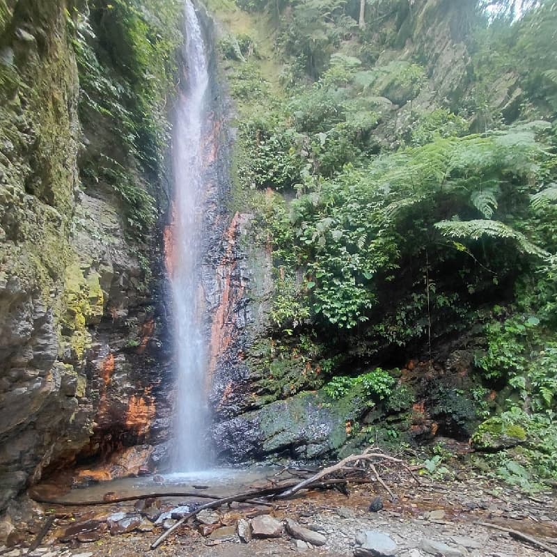 廬山野溪溫泉