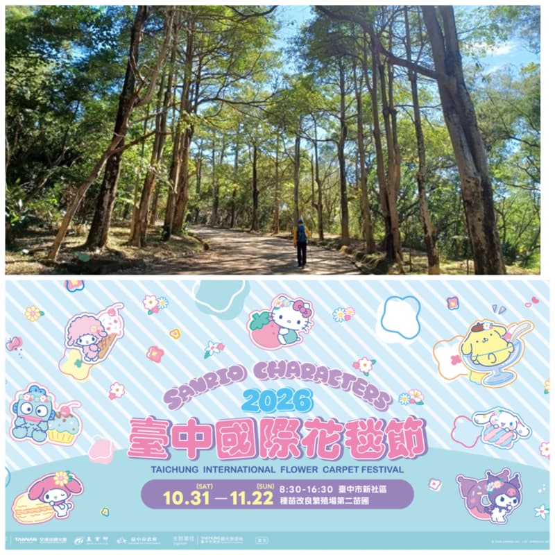 11/06、台中太平、三汀山🔜台中臺中國際花毯節