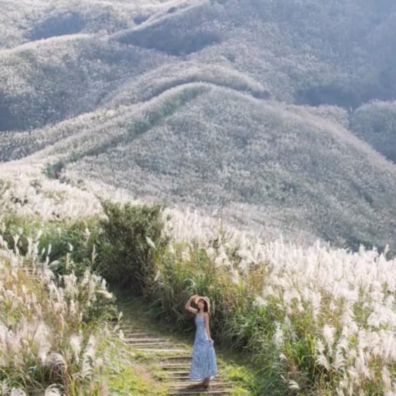 瑞芳半屏山芒草+不厭亭+九份