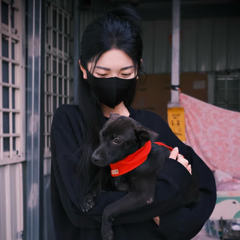 \ 女力崛起x浪浪公益小隊🐶 /