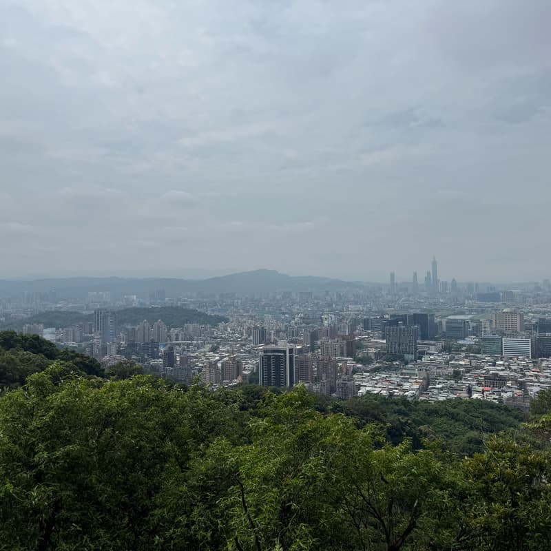 內湖金面山一隻會