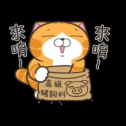 晚餐3選1