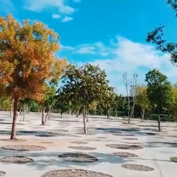 台中健走~