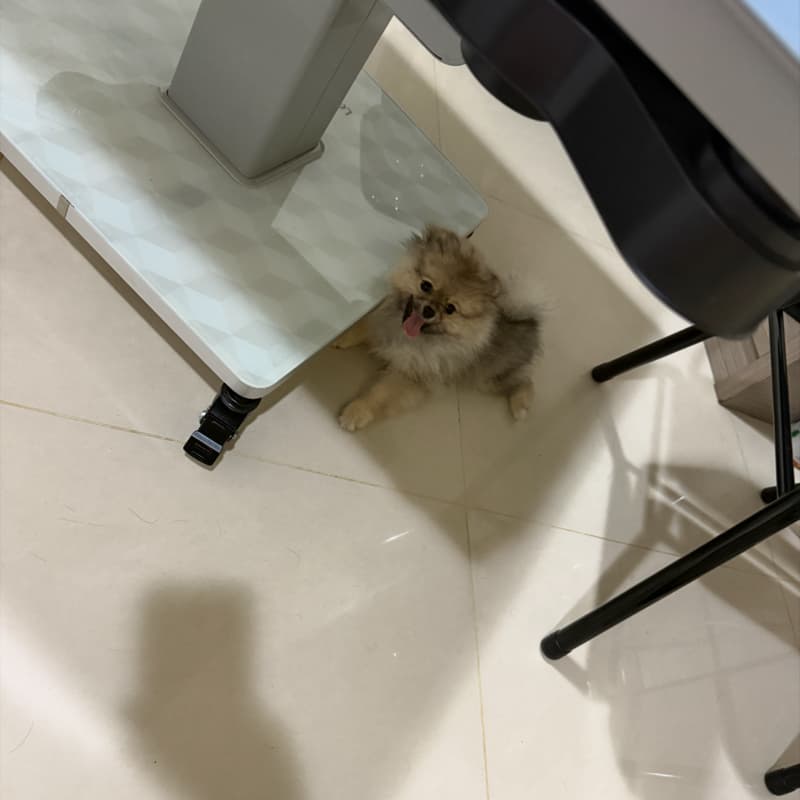 麻將🀄️電動桌雀煙