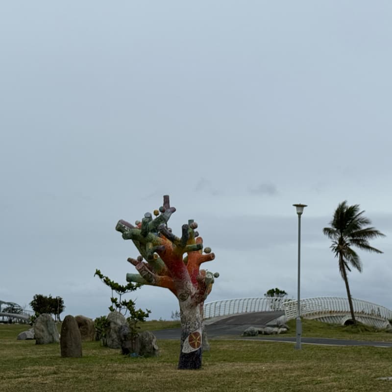 台灣環島5日遊(高雄出發)