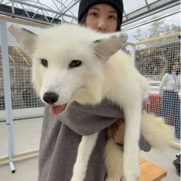 #一起抱抱小白狐 #說走就走