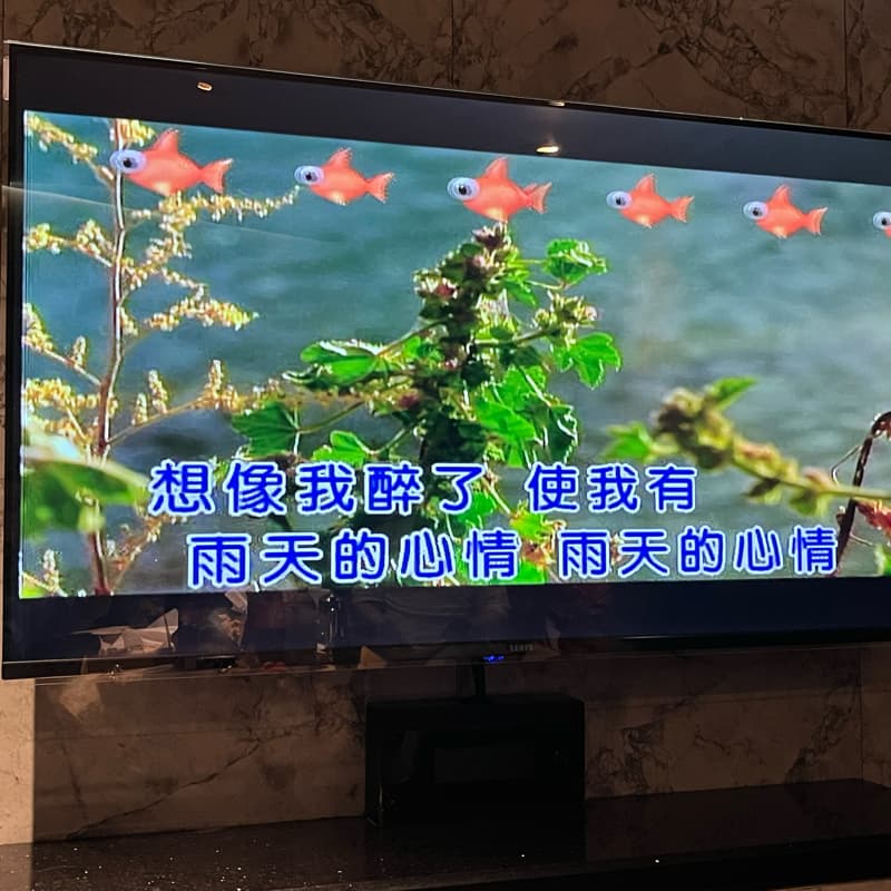 唱唱唱#中秋節🥮🐰