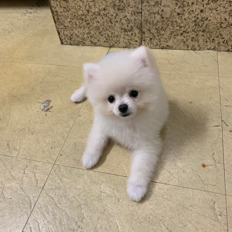 🎤 清新唱歌局!西門中華新館