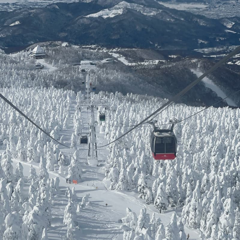 1/28 一起去日本藏王滑雪觀光、銀山溫泉、藏王樹冰、狐狸村 #新手友善有中文團課教練