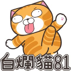 白爛貓81☆超幼稚☆