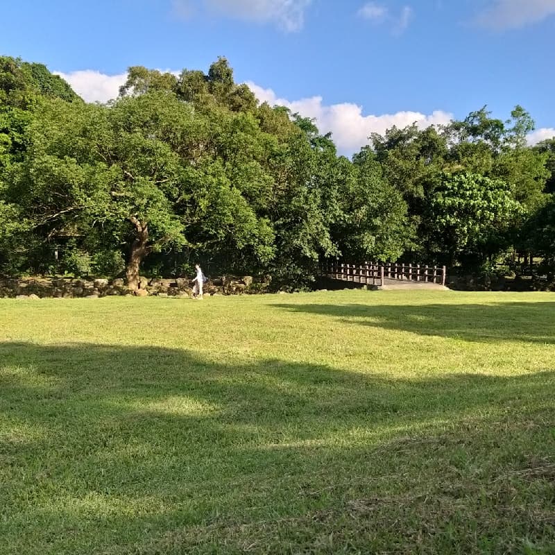 草地上翻滾