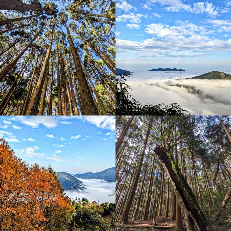 面托油山⛰️體驗大自然
