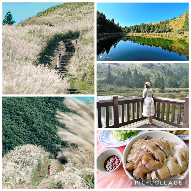 最溫柔的秋日顏色~零難度賞芒之冷水坑環形步道#新手友善